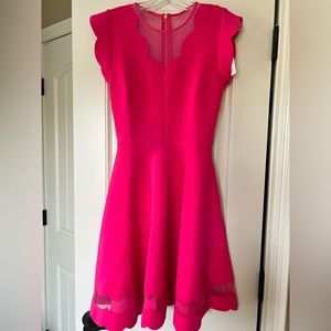 Brand New Ted Baker Scalloped Dress